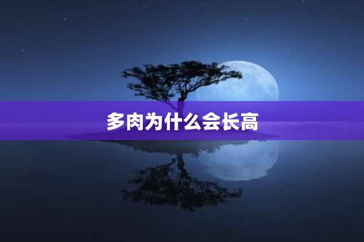 多肉为什么会长高 多肉植物往高长怎么办？