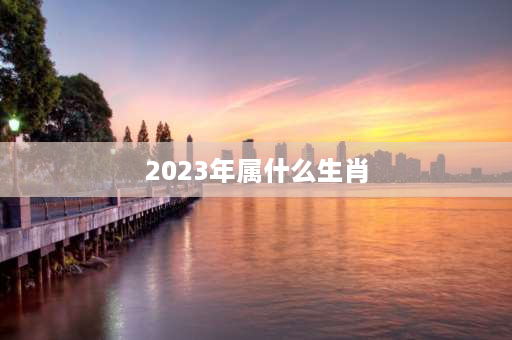 2023年属什么生肖 2023年是什么属性的年？