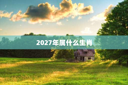 2027年属什么生肖 2027年是什么流年？