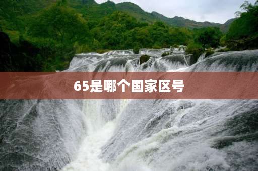 65是哪个国家区号 6580是哪里的区号？