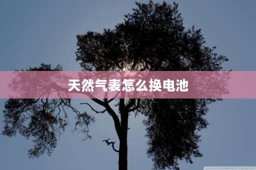 天然气表怎么换电池 天然气电池表上电池如何更换？