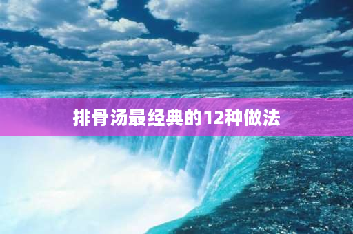 排骨汤最经典的12种做法 排骨粥最经典的12种做法？