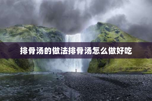 排骨汤的做法排骨汤怎么做好吃 炖排骨汤家常做法？