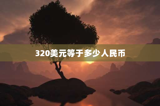 320美元等于多少人民币 货币tl是什么意思？