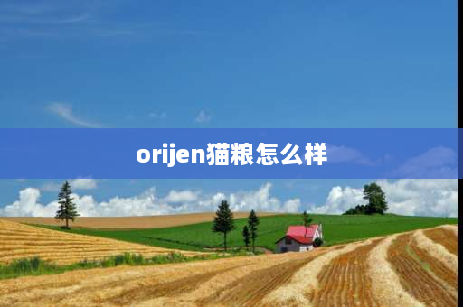 orijen猫粮怎么样 lorde猫粮产地？