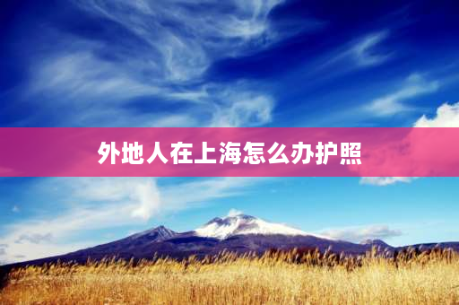 外地人在上海怎么办护照 外地人可以在上海办护照吗？