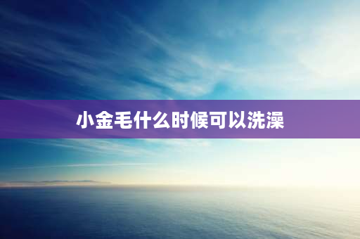 小金毛什么时候可以洗澡 金毛幼犬什么时候能洗澡？