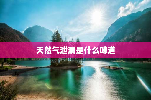 天然气泄漏是什么味道 天然气泄漏有气味吗？