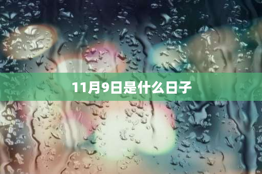 11月9日是什么日子 11.9是美国什么节日？