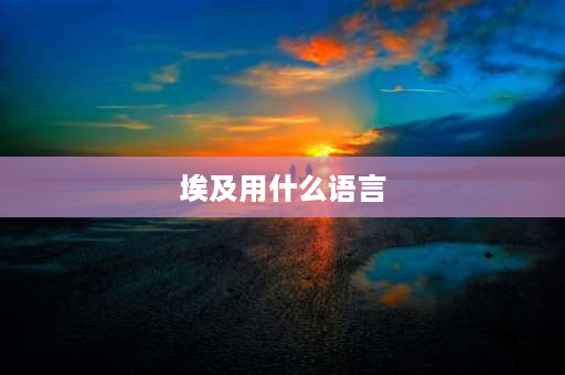 埃及用什么语言 埃及官方用什么语？