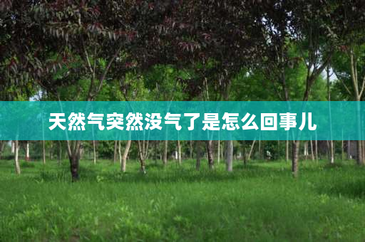 天然气突然没气了是怎么回事儿 为什么燃气表没反应？