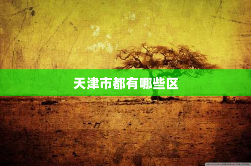 天津市都有哪些区 天津市有多少个地级市？多少个县？