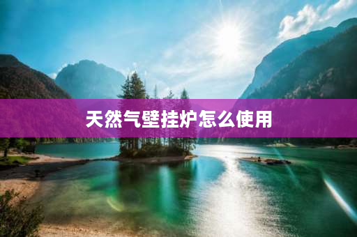 天然气壁挂炉怎么使用 天然气壁挂炉设置键怎么使用？