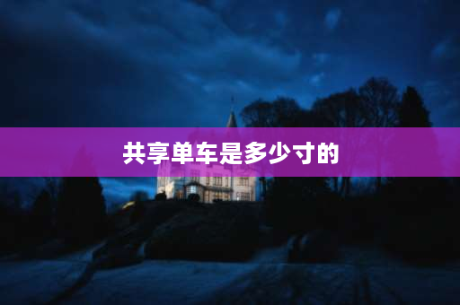 共享单车是多少寸的 共享单车是24寸轮胎直径多少？