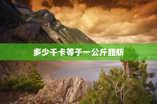 多少千卡等于一公斤脂肪 100千卡等于多少斤？