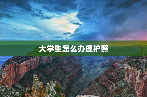 大学生怎么办理护照 在校大学生办理护照时需要带哪些证件？