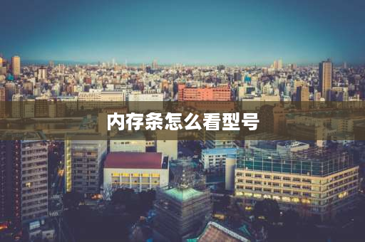 内存条怎么看型号 怎么查自己内存条型号？