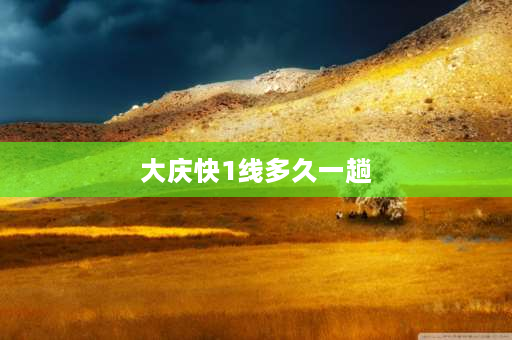 大庆快1线多久一趟 大庆东站到新村正大方盛做几路公交车？