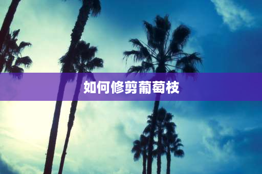 如何修剪葡萄枝 葡萄树苗修剪的正确方法？