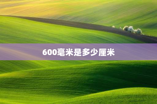 600毫米是多少厘米 600毫米大于6米吗？