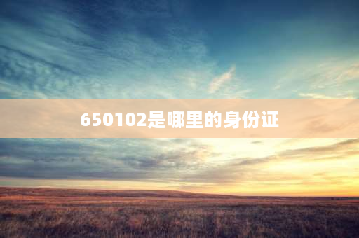 650102是哪里的身份证 656823哪里的身份证？