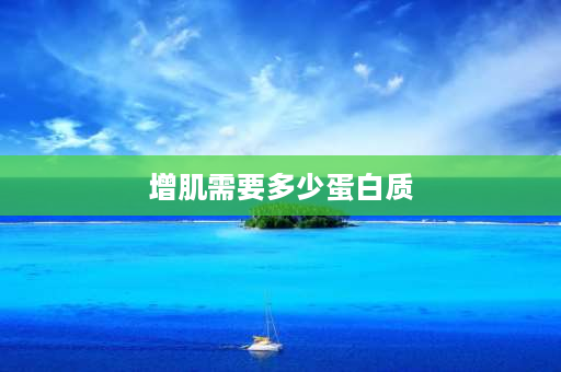 增肌需要多少蛋白质 增肌是把所有食物蛋白质都算进去吗？