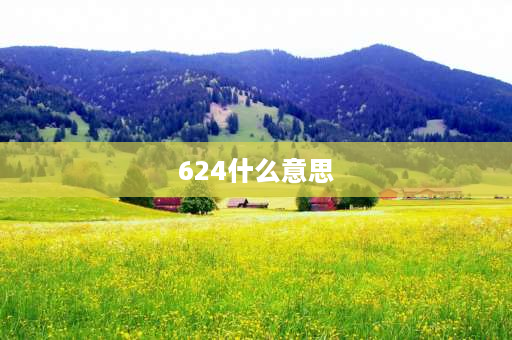 624什么意思 曌在名字中的意思？