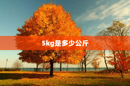 5kg是多少公斤 5kg等于多少g？