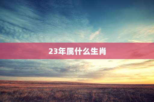 23年属什么生肖 23年是癸卯年吗？