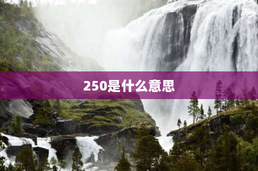 250是什么意思 250数字怎么巧妙的解释？