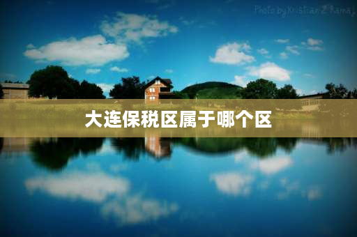 大连保税区属于哪个区 大连保税区汽车产业园区A一7一2一5地块在大连市哪儿？