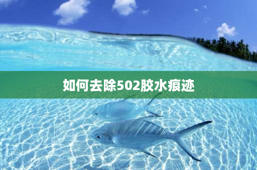 如何去除502胶水痕迹 怎样清除502胶水的残留物？