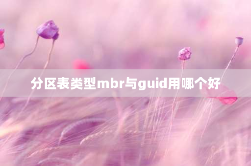 分区表类型mbr与guid用哪个好 硬盘分区类型guid和mbr选哪个？