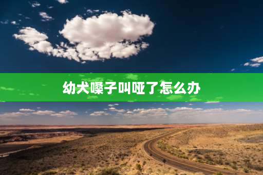 幼犬嗓子叫哑了怎么办 狗狗刚来新家把嗓子都叫哑了两个月比熊来新家今天第三天，一放笼子就叫，连续不断的叫了三个晚上，现在嗓子都哑了怎么办？