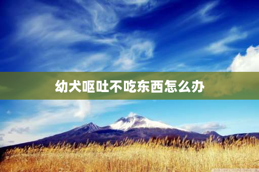 幼犬呕吐不吃东西怎么办 小狗呕吐后不吃东西，精神不好，怎么办？