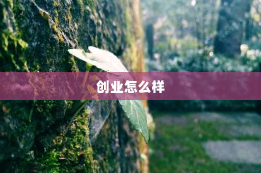 创业怎么样 创业的意义和价值？