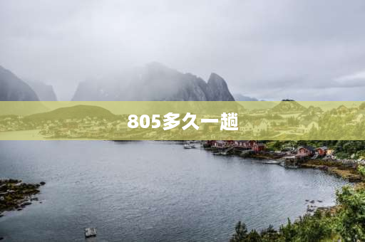 805多久一趟 去上海外滩坐几号地铁？