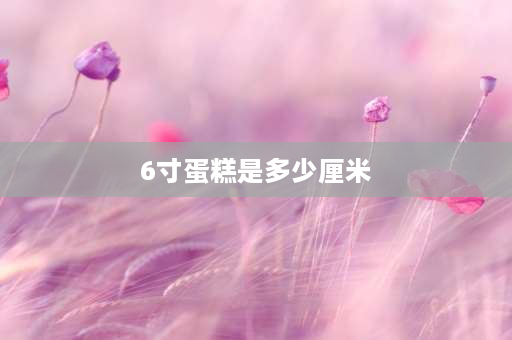 6寸蛋糕是多少厘米 6寸蛋糕是多少厘米？