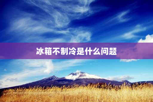 冰箱不制冷是什么问题 冰箱不制冷的原因及解决办法？