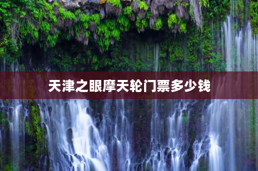 天津之眼摩天轮门票多少钱 天津摩天轮2022年五一门票怎么买？