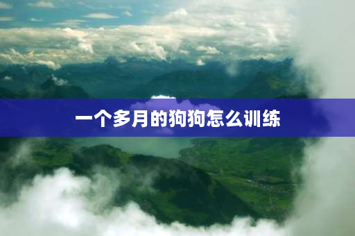 一个多月的狗狗怎么训练 狗狗几个月可以开始训练动作？