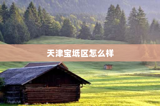 天津宝坻区怎么样 天津市宝坻区在天津市的地位？