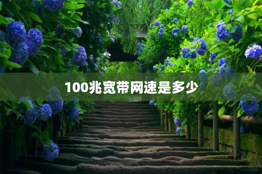 100兆宽带网速是多少 100兆宽带网速是多少？