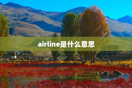 airline是什么意思 pilot的词性？