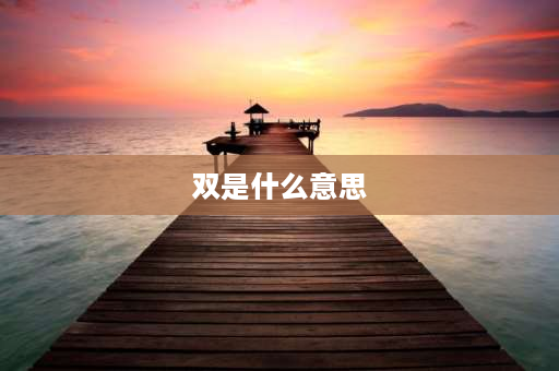 双是什么意思 本人是双的什么意思？