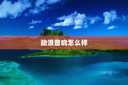 劲浪音响怎么样 汽车音响劲浪和丹拿哪个好？