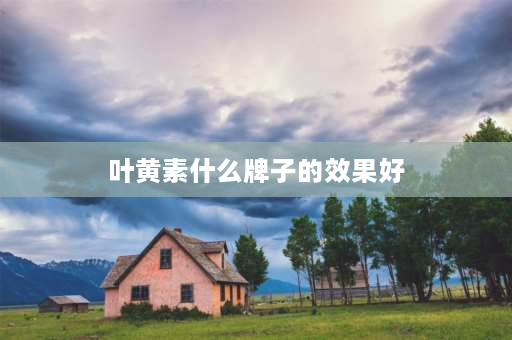 叶黄素什么牌子的效果好 儿童叶黄素什么牌子效果好？