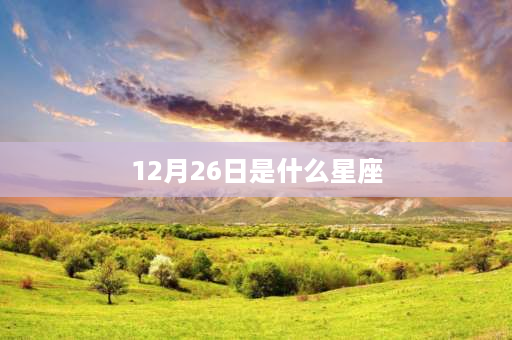 12月26日是什么星座 2002年12月26阴历跟阳历两个星座分别是什么？