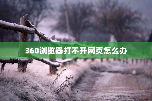 360浏览器打不开网页怎么办 360手机浏览器打不开网页怎么回事？