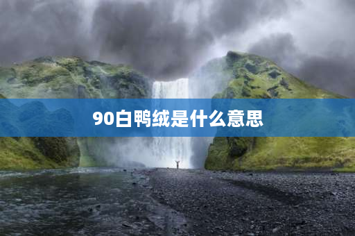 90白鸭绒是什么意思 90绒白鸭绒特性？